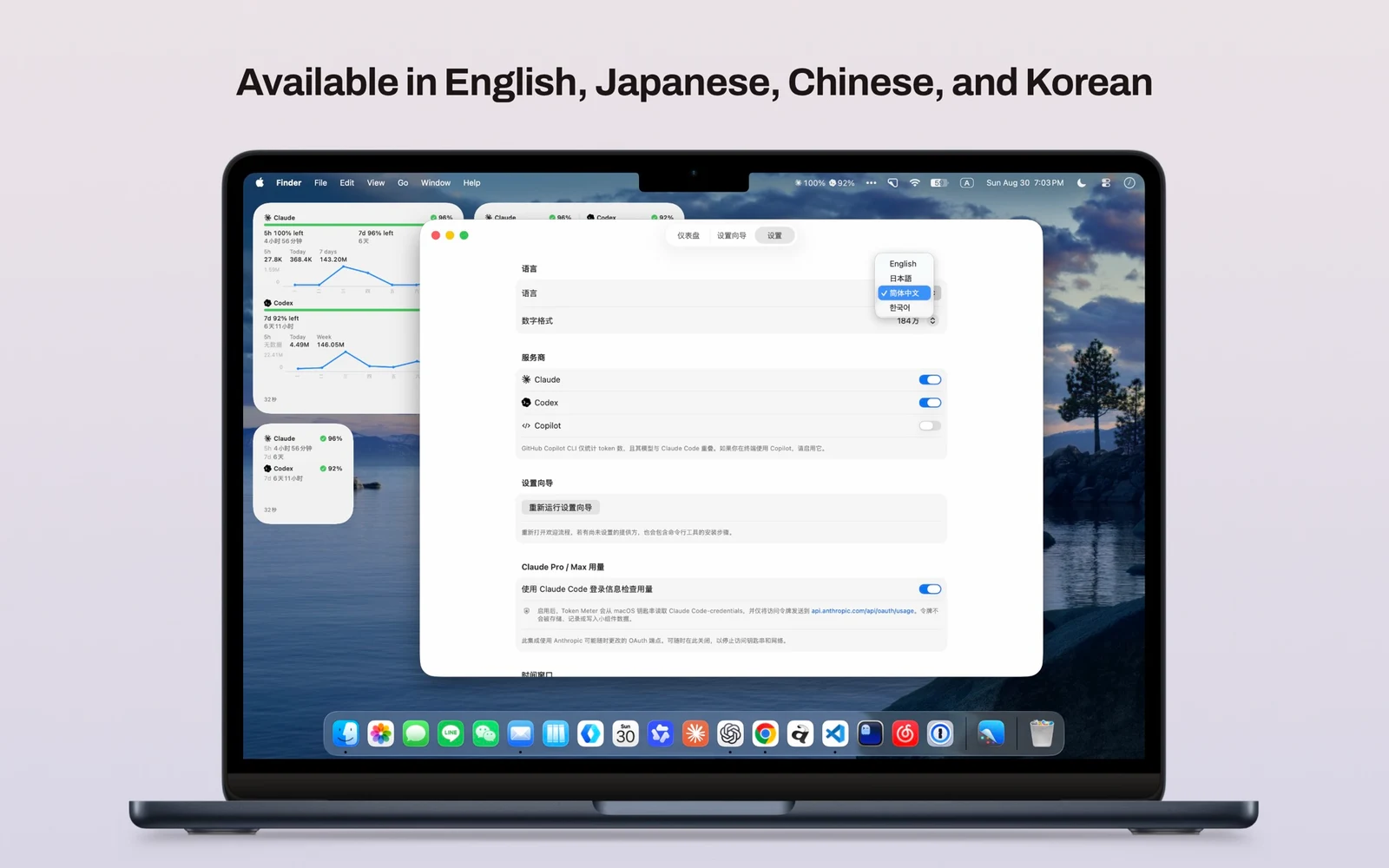 Token Meter settings with English, Japanese, Chinese and Korean language options