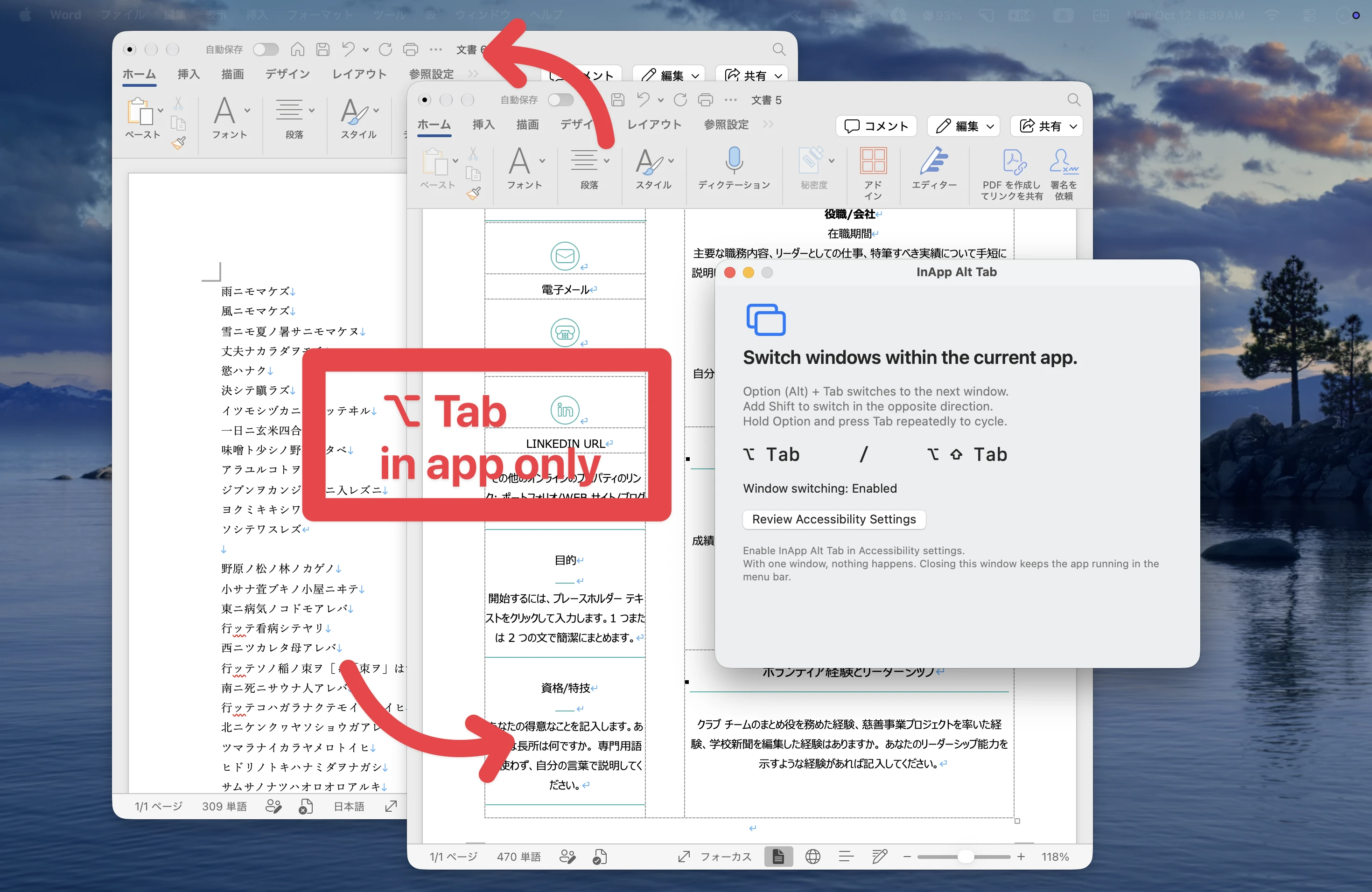 Word 문서 창과 InApp Alt Tab 설정 창