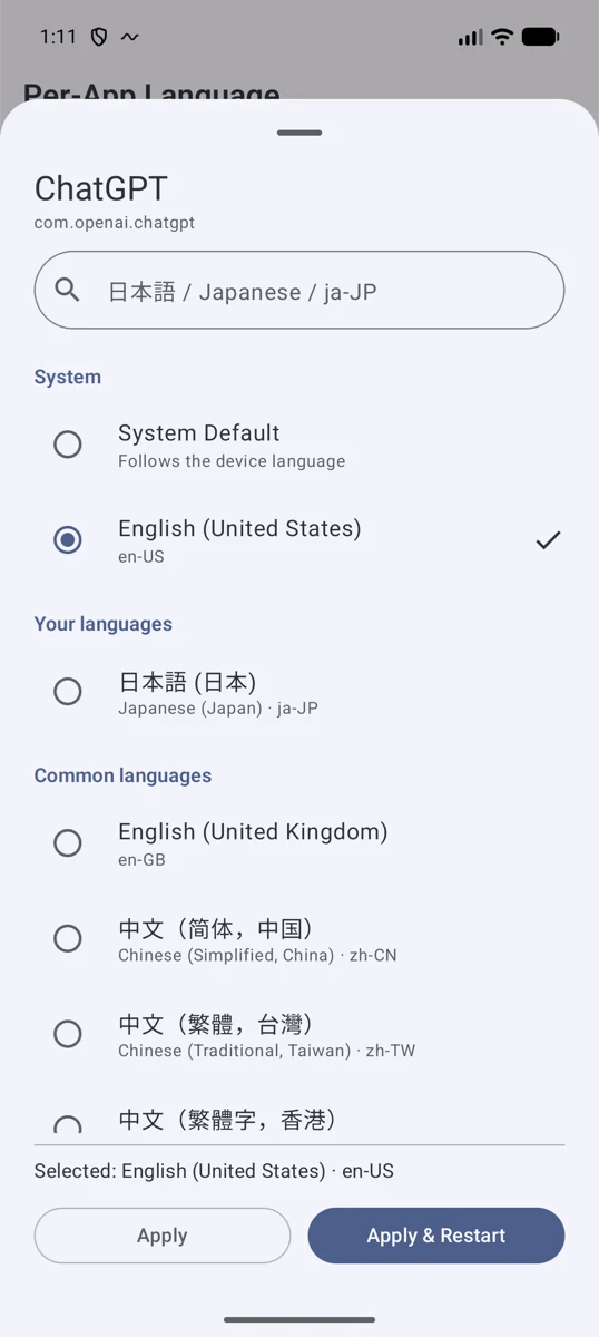 语言选择:预设与自定义语言标签